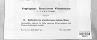 Image Associated With the Occurence